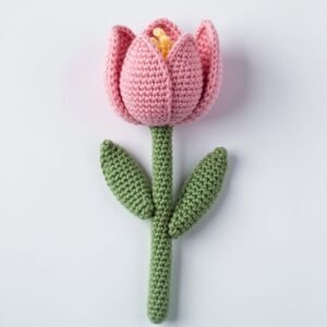 Tulip With Stem