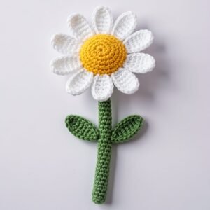 Daisy With Stem