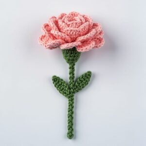 Carnation With Stem
